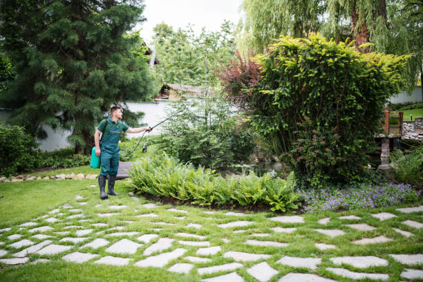 Best Commercial Pest Control Services  in Kearny, AZ